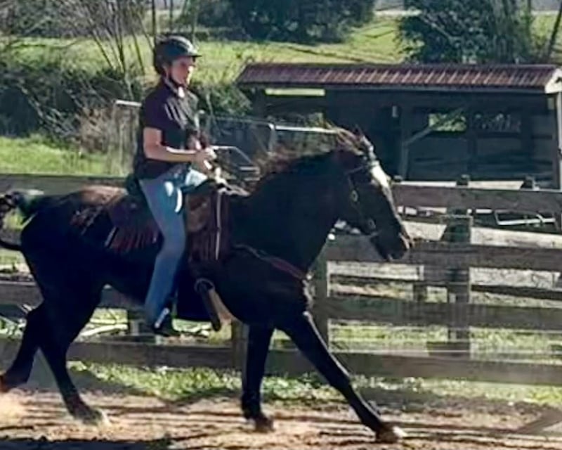 Western Riding Lesson in Fountain Run