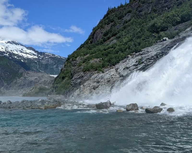 Hike Nugget Falls & Whale Watching Tour in Juneau