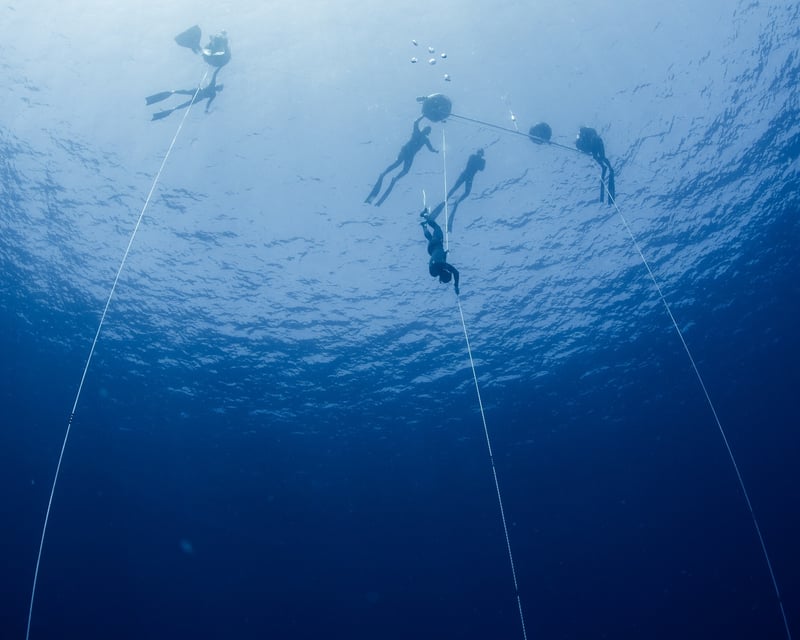 Freediving Depth Training & Wildlife Safari in Kona