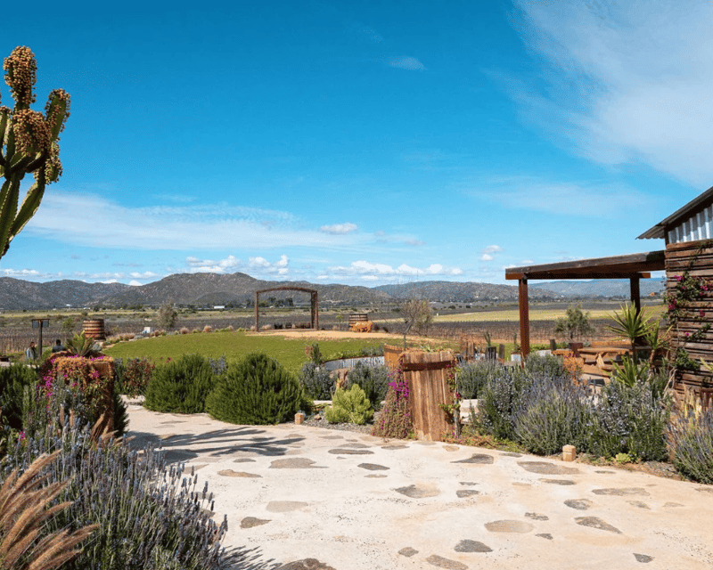 Private Baja Wine Country Tour from San Diego