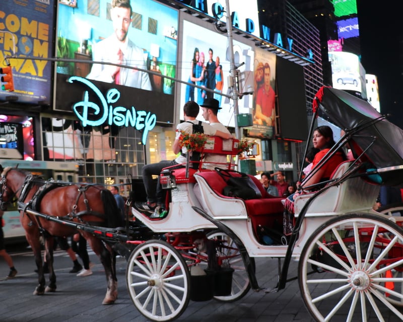 Central Park to Times Square Horse Carriage Ride