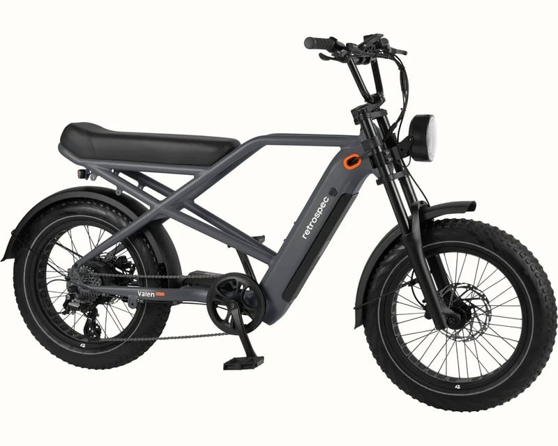 Santa Monica Fat Tire E-Bike Rental
