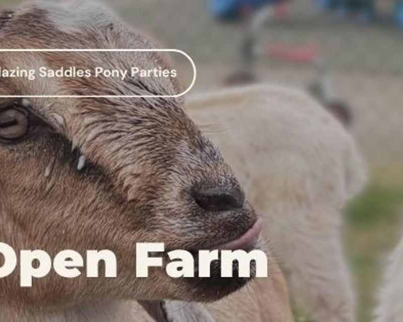 Rescue Animal Sanctuary Farm Visit in Fairhaven