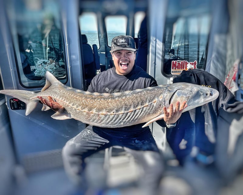 White Sturgeon Fishing Charter in South San Francisco