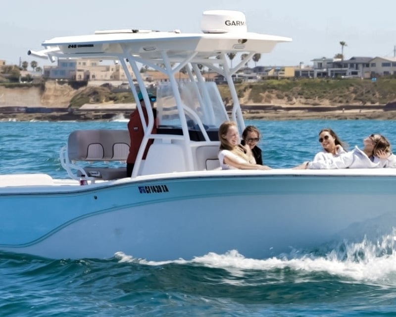 Small-Group Whale & Dolphin Watching in San Diego