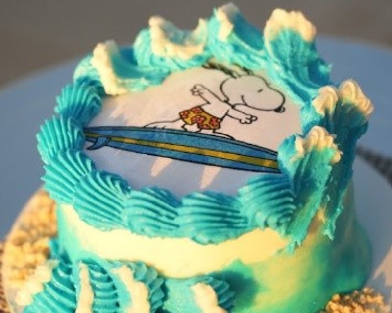 Beginner Cake Decorating Class at Revel Surf in Mesa