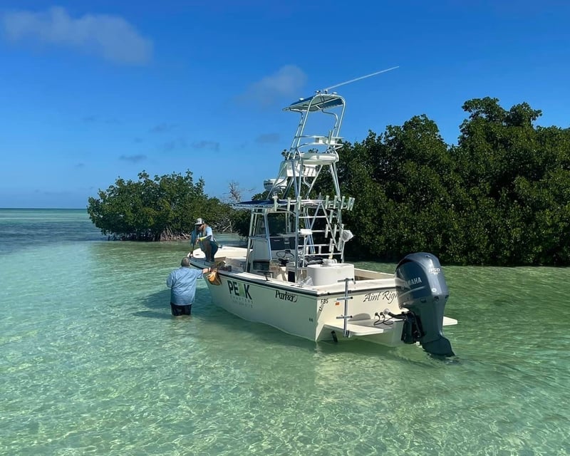 Key West Sandbar Charter