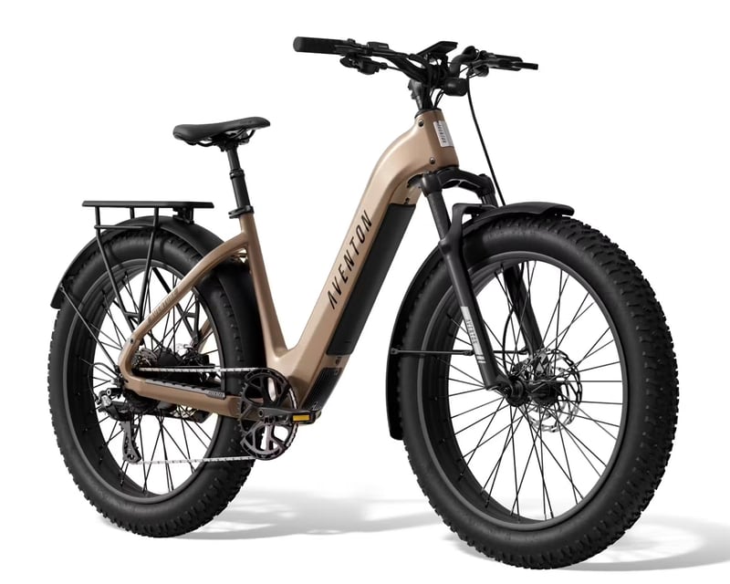 E-Bike Test Ride on the W&OD Trail in Herndon