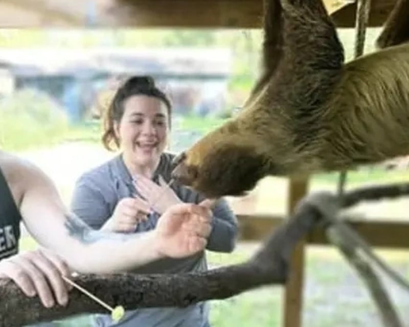 Sloth, Capybara & Tamandua Encounters in Riverview
