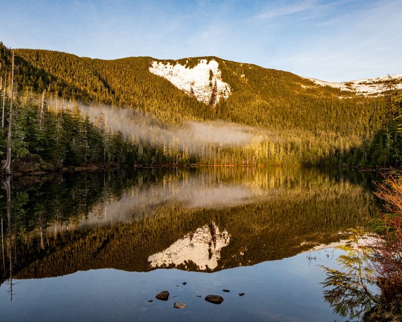 Private Rainforest Hike to Avalanche Chute in Ketchikan