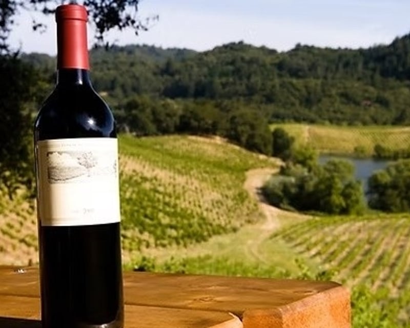 Private Sonoma County Wine Tour with Chauffeur