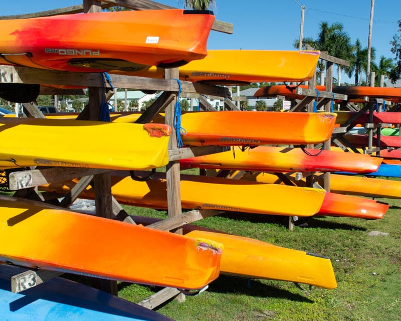 Full-Day Everglades Kayak Rental in Everglades City