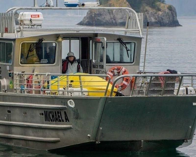 Seward Salmon Stream & Ghost Forest Water Taxi