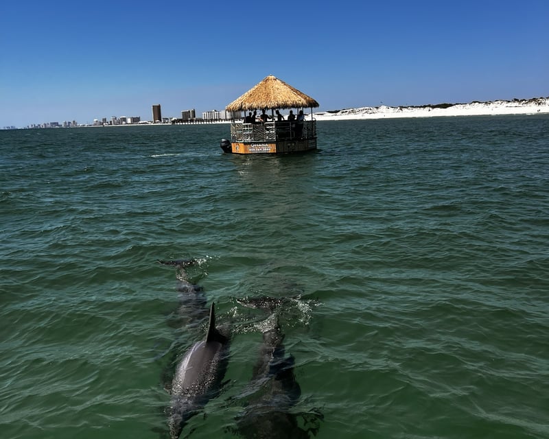 Panama City Beach 90-Minute Dolphin Tiki Cruise