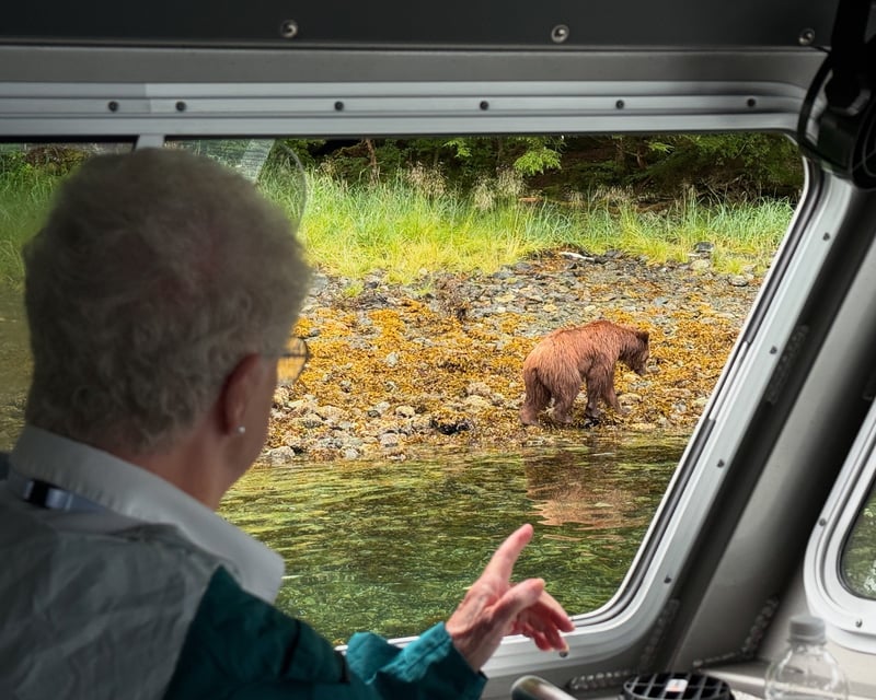 Private Bear Viewing Tour in Sitka