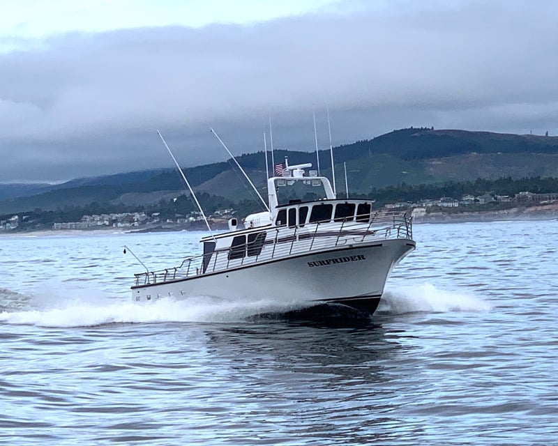 Oregon Coast Whale Watching Tour From Portland