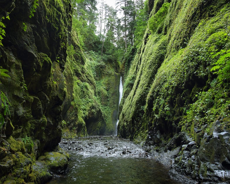 Private 3-Hour Columbia River Gorge Guided Tour