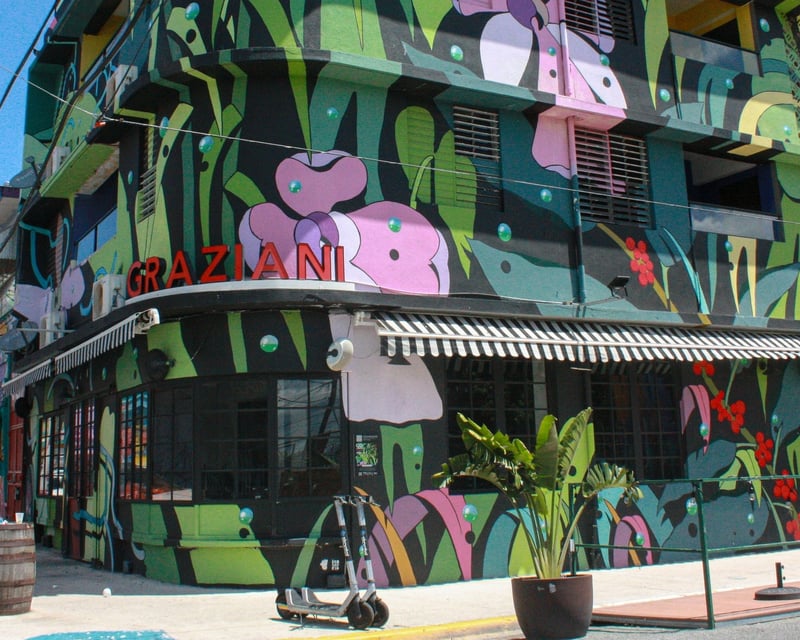 Santurce Art District Bar Crawl in San Juan