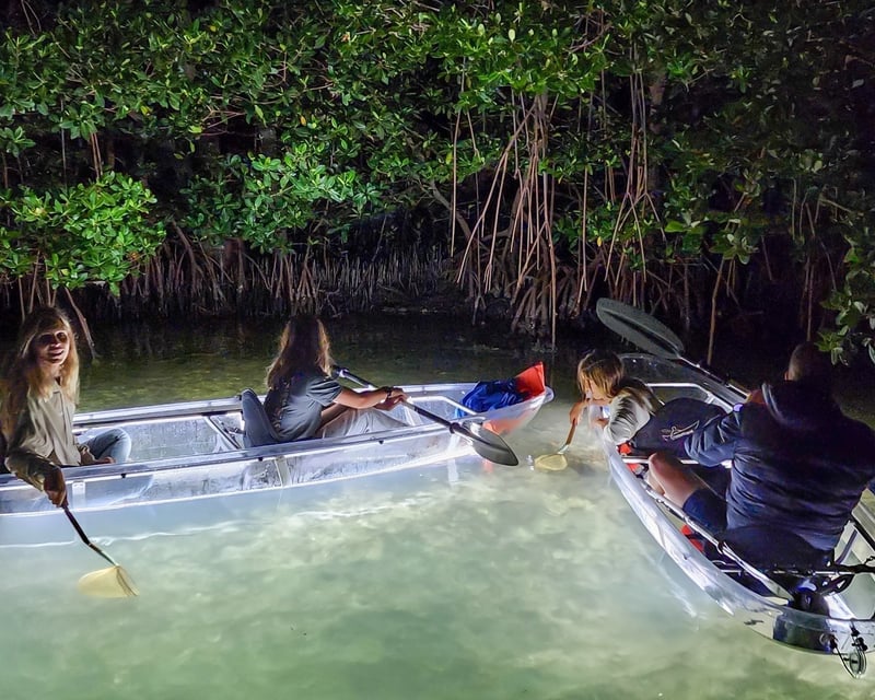Clear Kayak LED Night Tour in Longboat Key