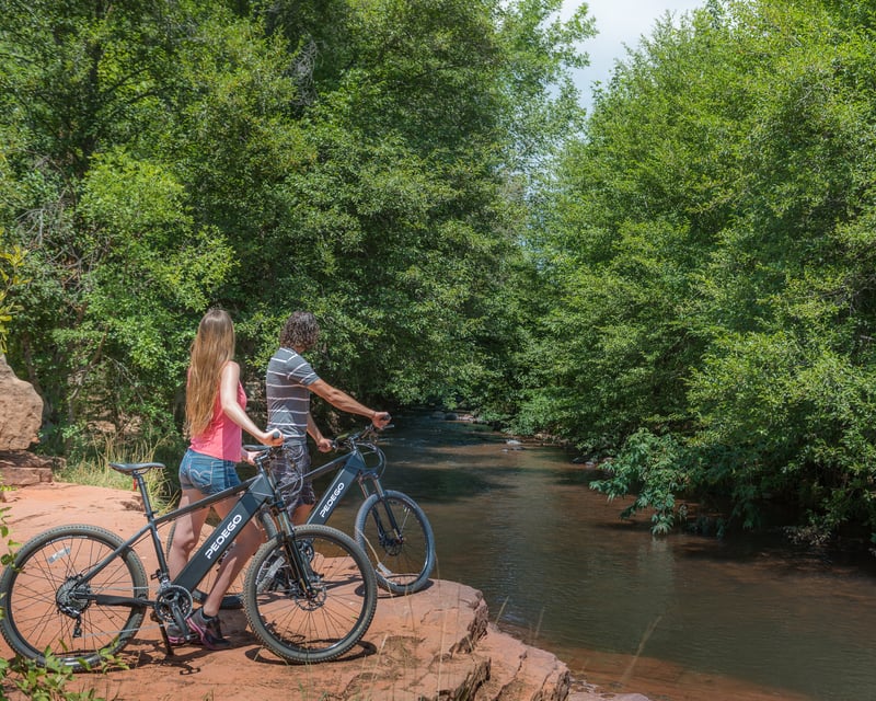 Self-Guided E-Bike Tour in Leesburg