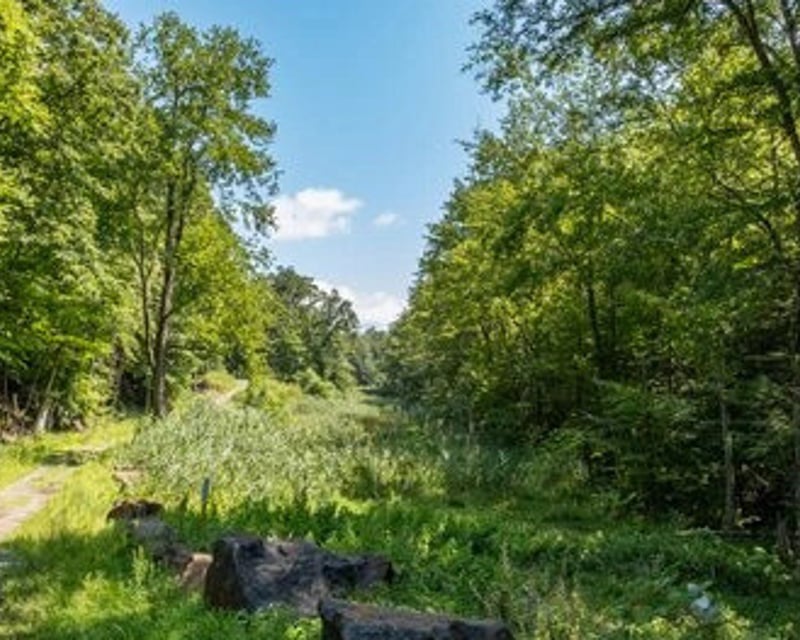 Private Full-Day Guided Hike in Catskills & Hudson Valley