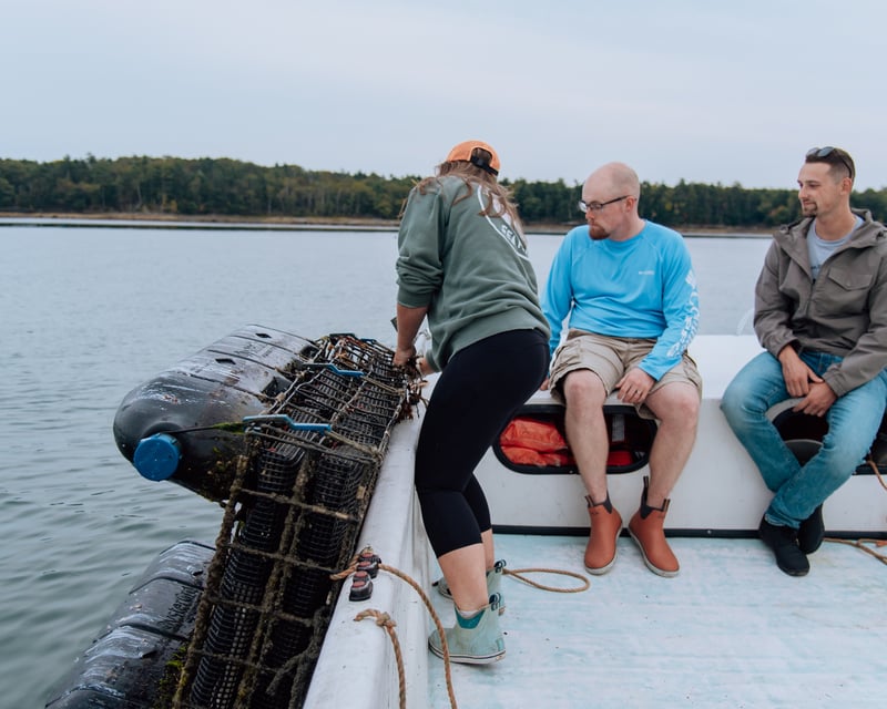Private Oyster Farm Boat Tour & Tasting in Yarmouth, Maine