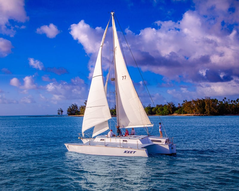 Private Dolphin Watching Sailboat Charter in Haleiwa