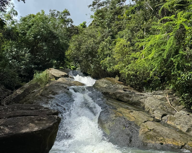 Rainforest Natural Waterslide Half-Day Tour From Fajardo
