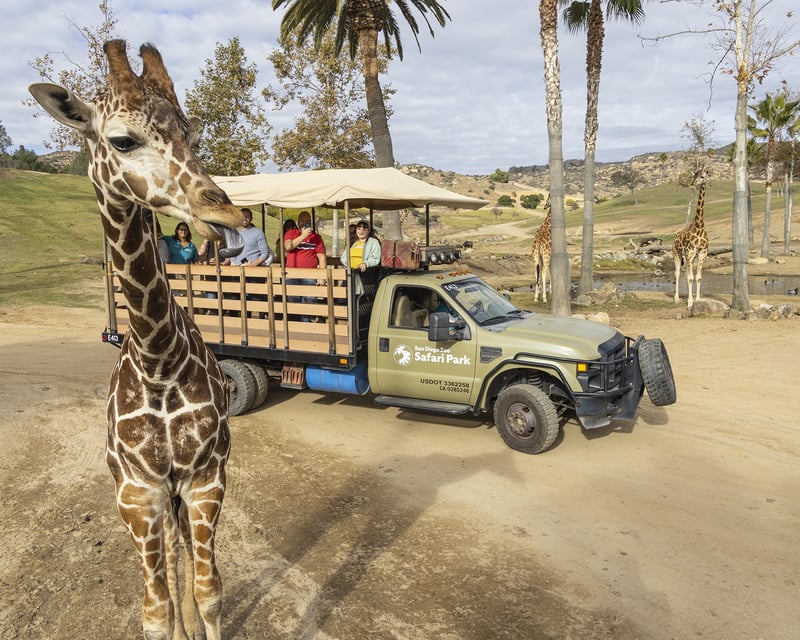 San Diego Zoo Safari Park 1-Day Admission Ticket