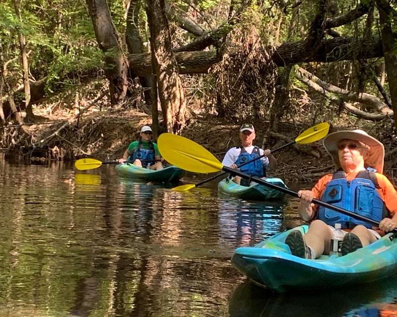 Guided Cedar Creek Kayak Tour in Congaree National Park
