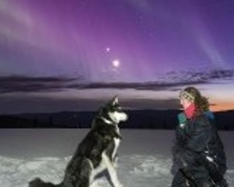 Fairbanks Aurora Chase Tour