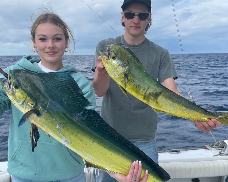 Gulf Stream Mahi-Mahi Fishing Charter from Port Canaveral