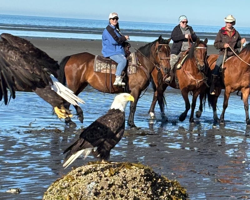 1-Hour Horseback Beach Ride in Homer