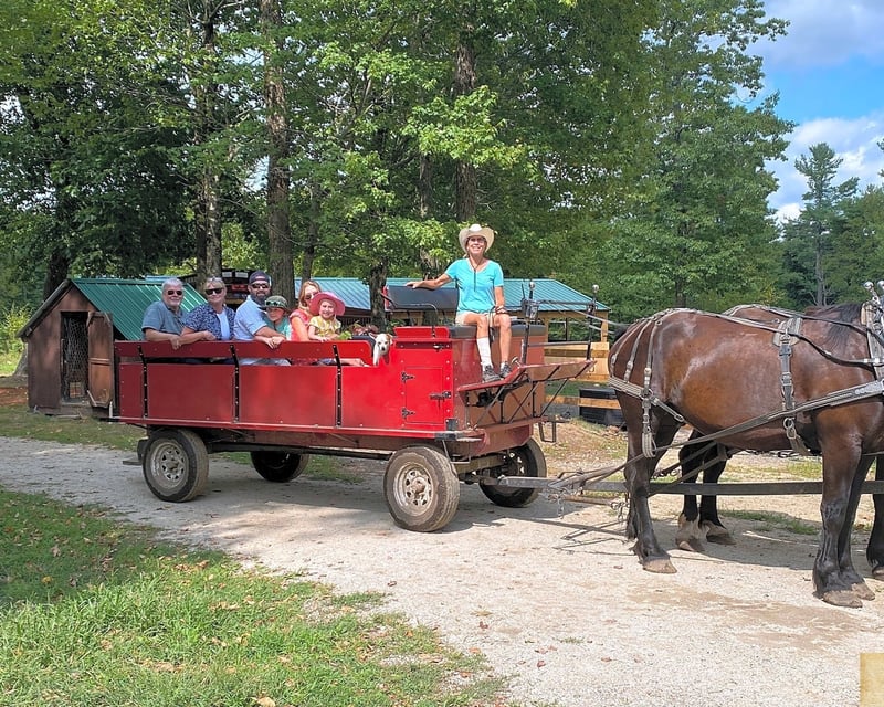 Horse-Drawn Wagon Forest & Ranch Tour in Princeton, MA