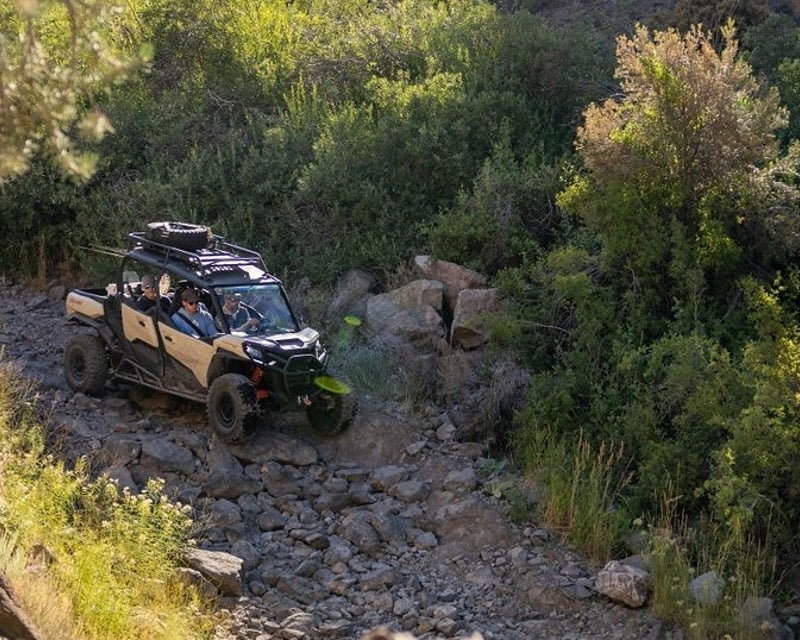 Private Off-Road Fly Fishing Trip near Lake Tahoe