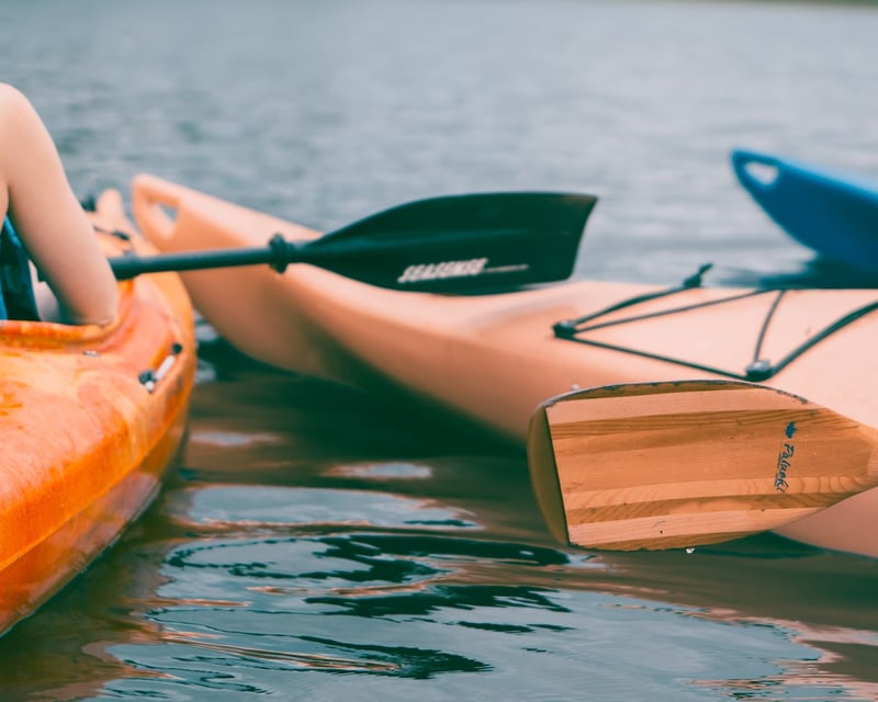Full-Day Single Kayak Rental in Elk Rapids