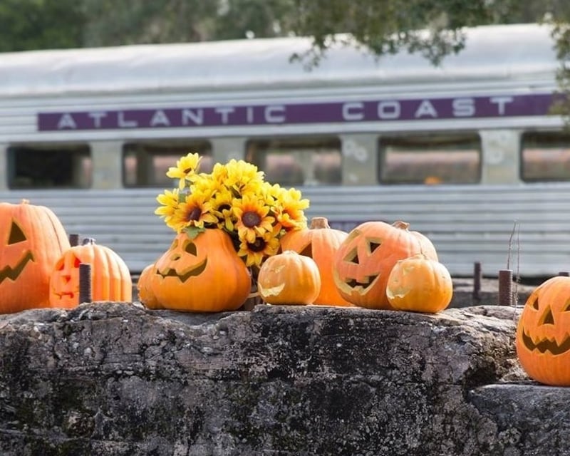 Parrish Pumpkin Patch Train Ride