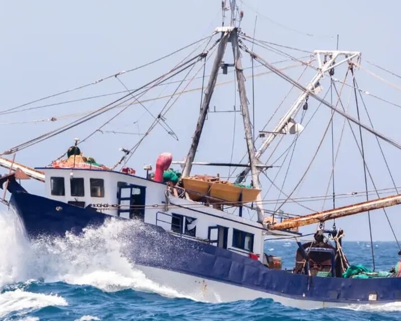 Private Fishing Charter to Dry Tortugas From Key West