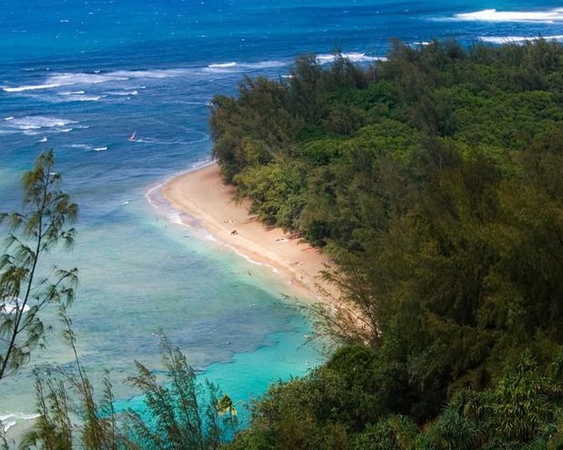 Private Full-Day Kaua'i Tour to Waimea Canyon & Hanalei