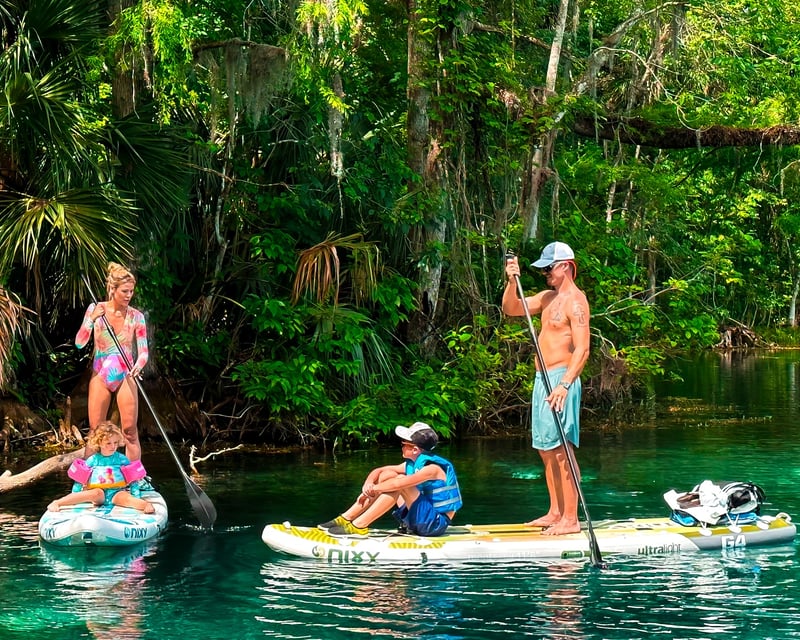 Silver Springs State Park Guided Paddle Board or Kayak Tour