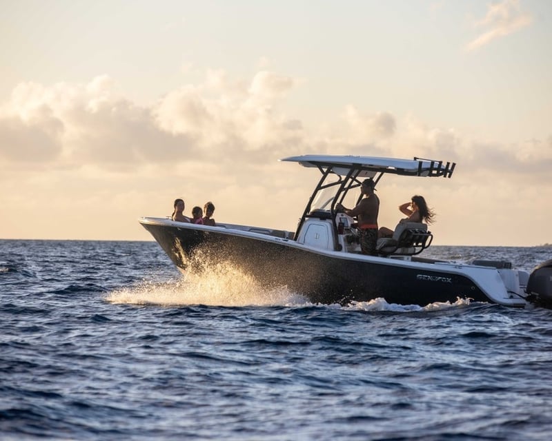 Private Sunset Cruise from Waimea, Big Island