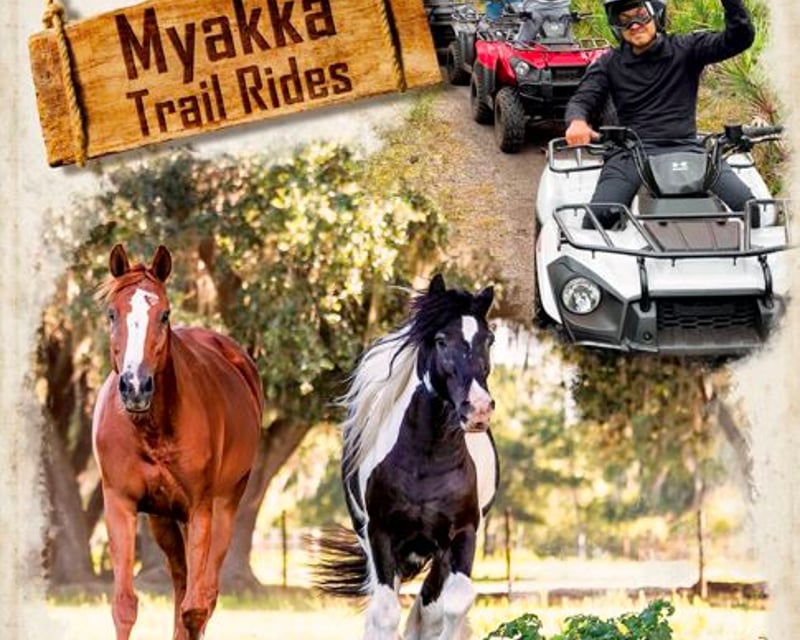 ATV & Horseback Riding Tour in Myakka City