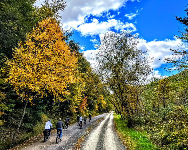 Ride 17 Miles on the Pine Creek Rail Trail
