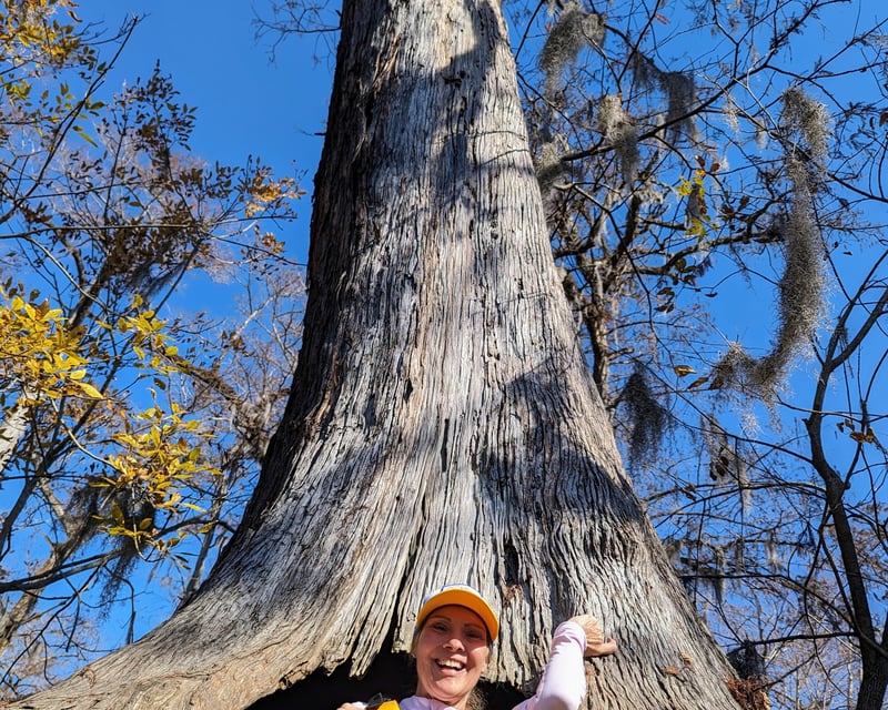 12-Mile Black River Kayak Tour to Three Sisters Swamp