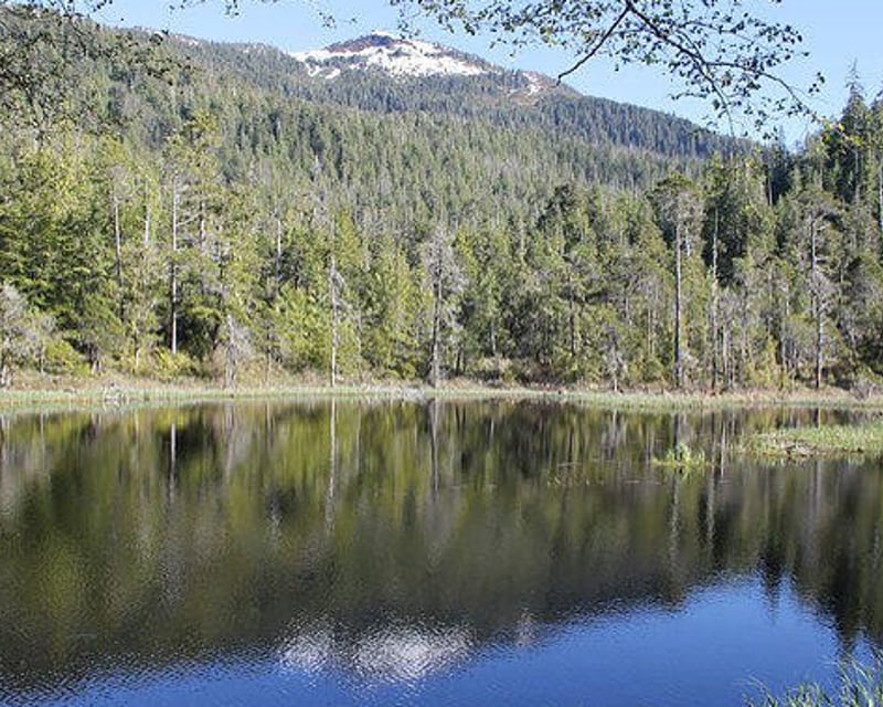 Private Custom Driving Tour in Ketchikan