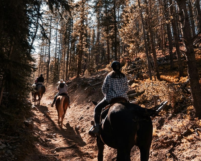 Private Guided Horseback Trail Ride in Sayreville, NJ