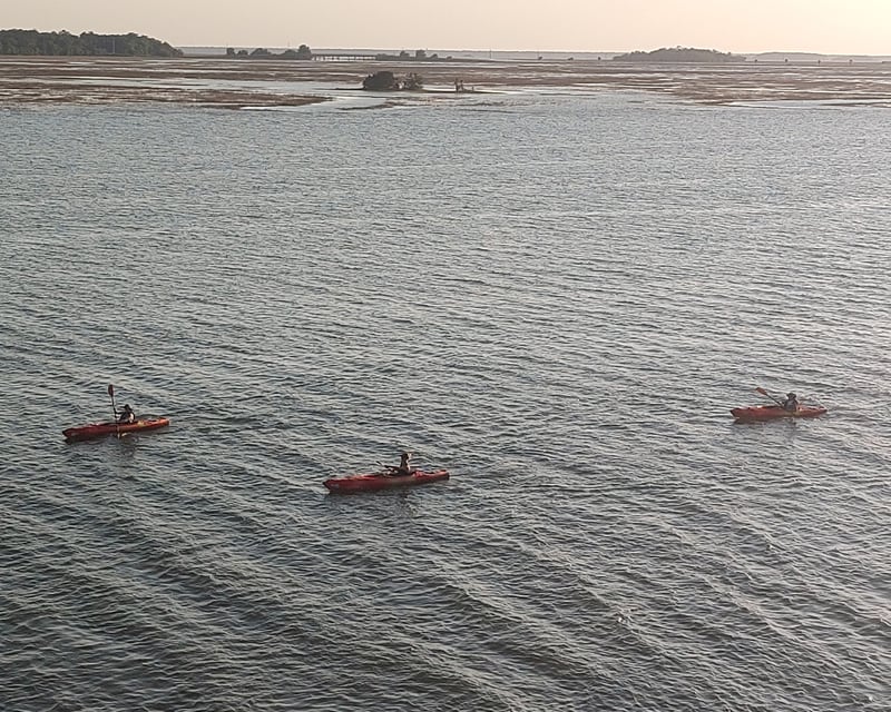 Guided Kayak Tour From Port Royal to Parris Island