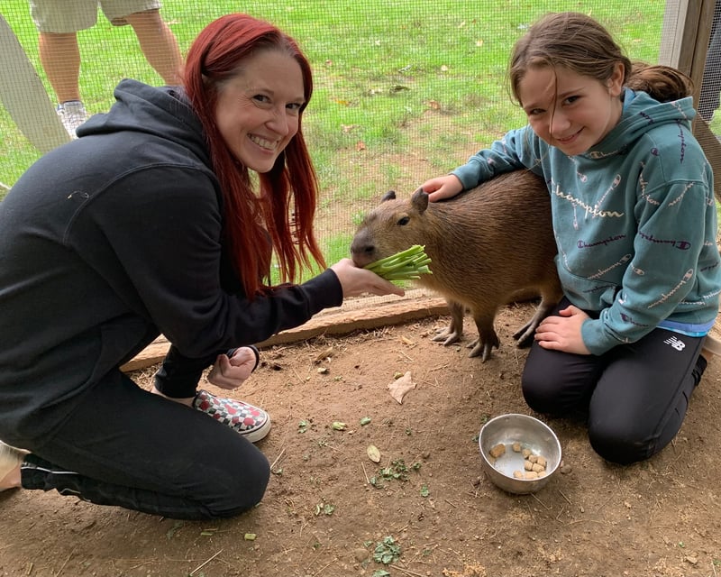 Ultimate VIP Animal Tour