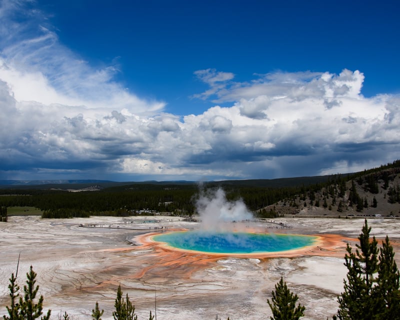 Private Full-Day Yellowstone Lower Loop & Old Faithful Tour
