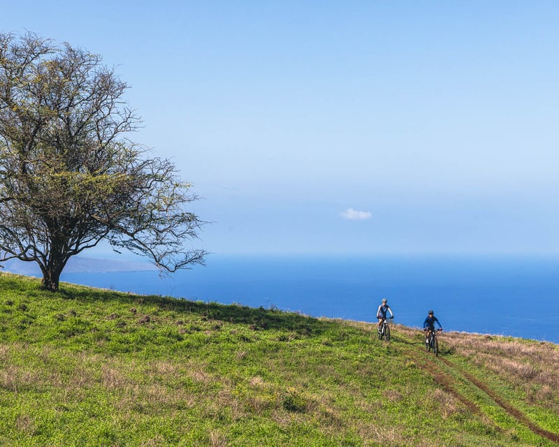 Private 4-Hour E-Mountain Bike Tour in Maui